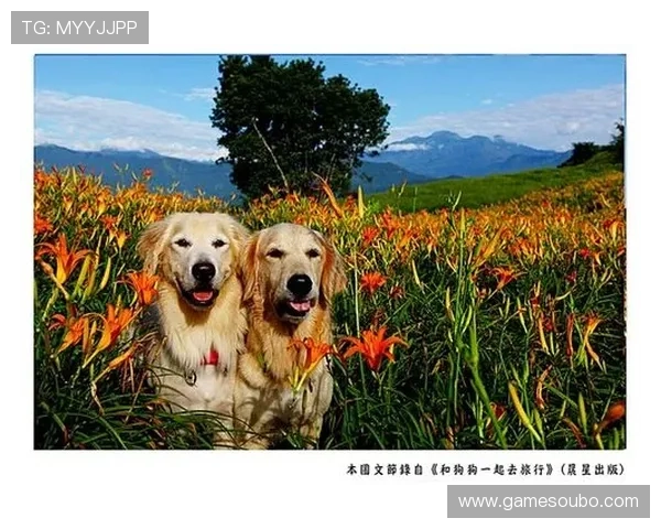 欧博官网 abg22游戏特色与玩法详解