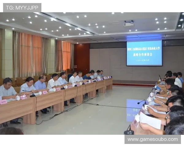 欧博一比一代理合作中的常见问题及解决方案，确保合作顺利进行