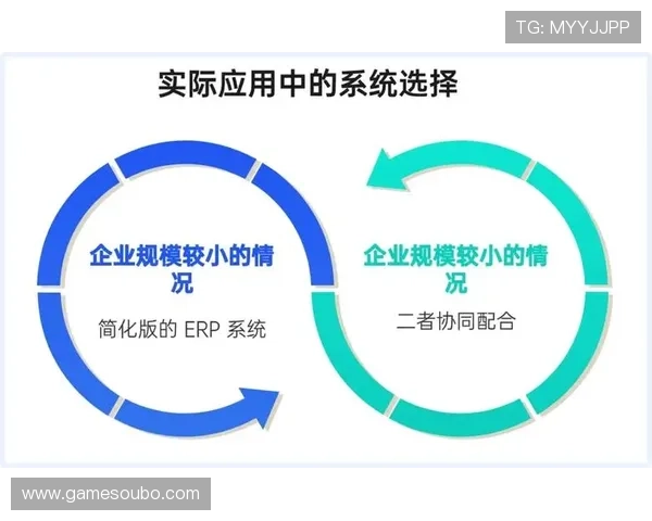 欧博集团财务管理与风险控制体系的优化与企业稳健运营