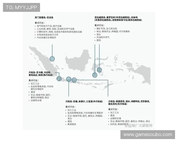 菲律宾欧博的经营状况与行业政策变化对其未来发展的影响分析
